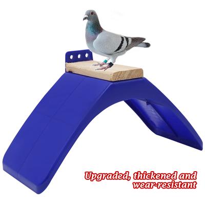 Kuş – Kuş Kafesleri ve Aksesuarları