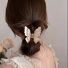 Gradient Double Layer Butterfly Claw Clip for Women Korean Sweet Temperament Pan Hair Shark Clip Girl Hair Accessories