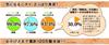 Pelican Soap Family Persimmon Tannin Soap 160g (x 3)