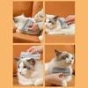 Rubber Pet Hair Remover, 2-in-1 Dog Cat Grooming Brush, Reusable Lint Remover, Double-Sided Pet Fur Removal Brush for Furniture Sofa Carpet Car Seat