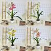 Faberi Cymbidium Rolfe Artificial Flowers For Outdoor Photography Decor Party