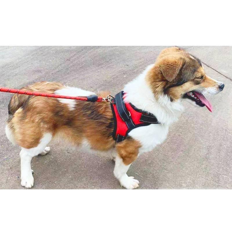 Premium 600d Oxford Fabric Dog Chest Harness With Comfortable Sponge Padding