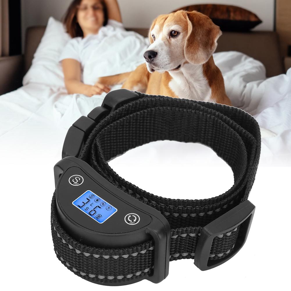 premium paws bark collar