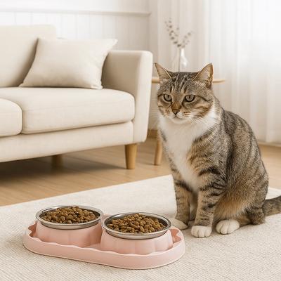 Multifunctional Stainless Steel Double Pet Bowl Anti Topple Leakproof Pet Dog Feeder Anti-slip Pet Food Bowl Home