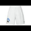 Sports Shorts Men's Gray Moderate HV0096-051