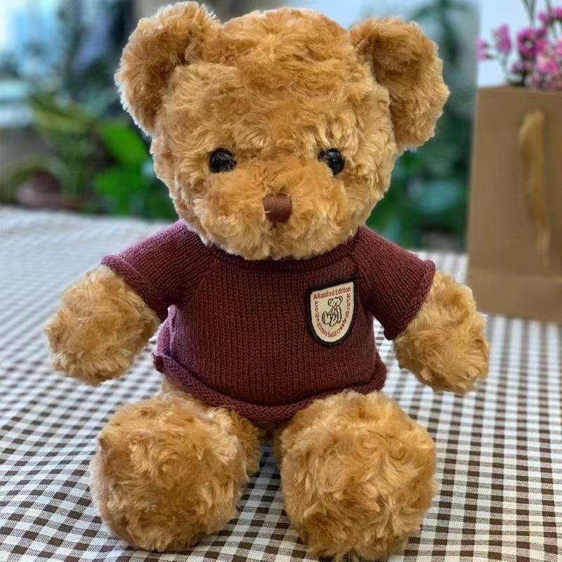 Sweater Bear Doll Birthday Gift Teddy Bear Plush Toy Doll