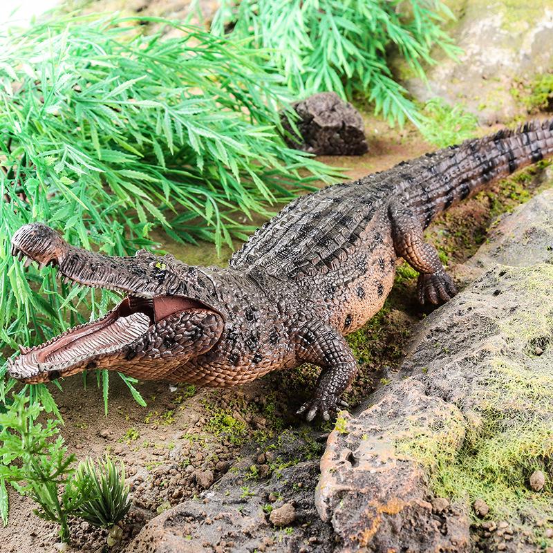 Large Crocodile Wildlife Model Toy: Yangtze Crocodile for Kids' Cognitive Play