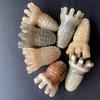 Ox Horn Octopus Head Massager