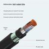 BoYang Outdoor Armored 30-Pair Communication Cable