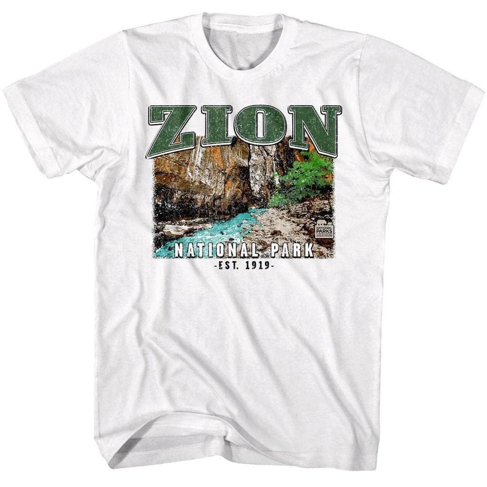 Zion Canyon Narrows Men s T Shirt XL