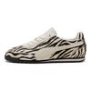 Arizona Zebra