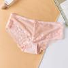 Lace Hollow Sexy Underwear Mid-waist Thin Mesh Transparent Briefs Seamless Breathable Women's Panties