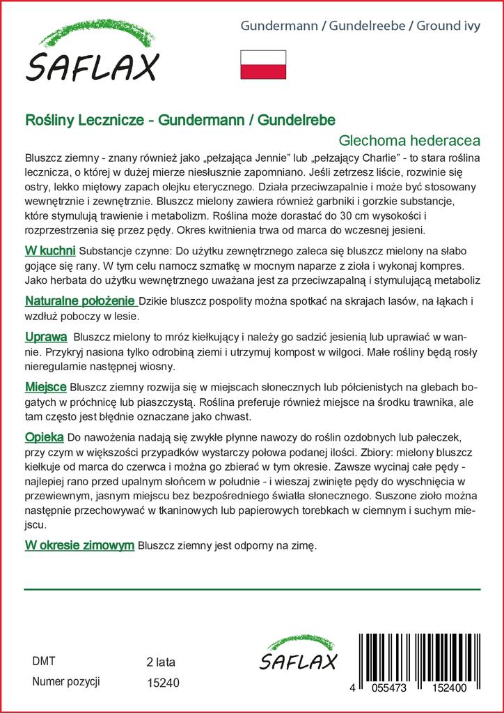 SAFLAX Garden in the Bag – Gemahlener Efeu – 75 Samen – Mit Substrat im passenden Standbeutel – Glechoma hederacea