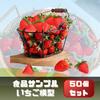 ENN LLC Strawberry Model Food Sample Fruit Models, 50 Pieces, 3.5cm