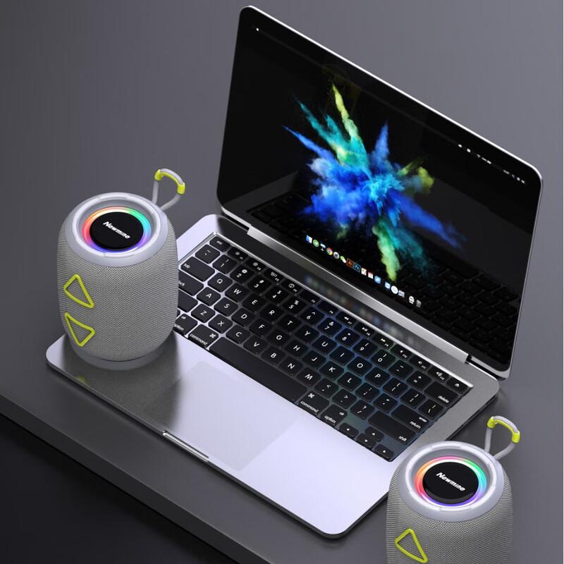 Newmine BT87 Portable Bluetooth Speaker
