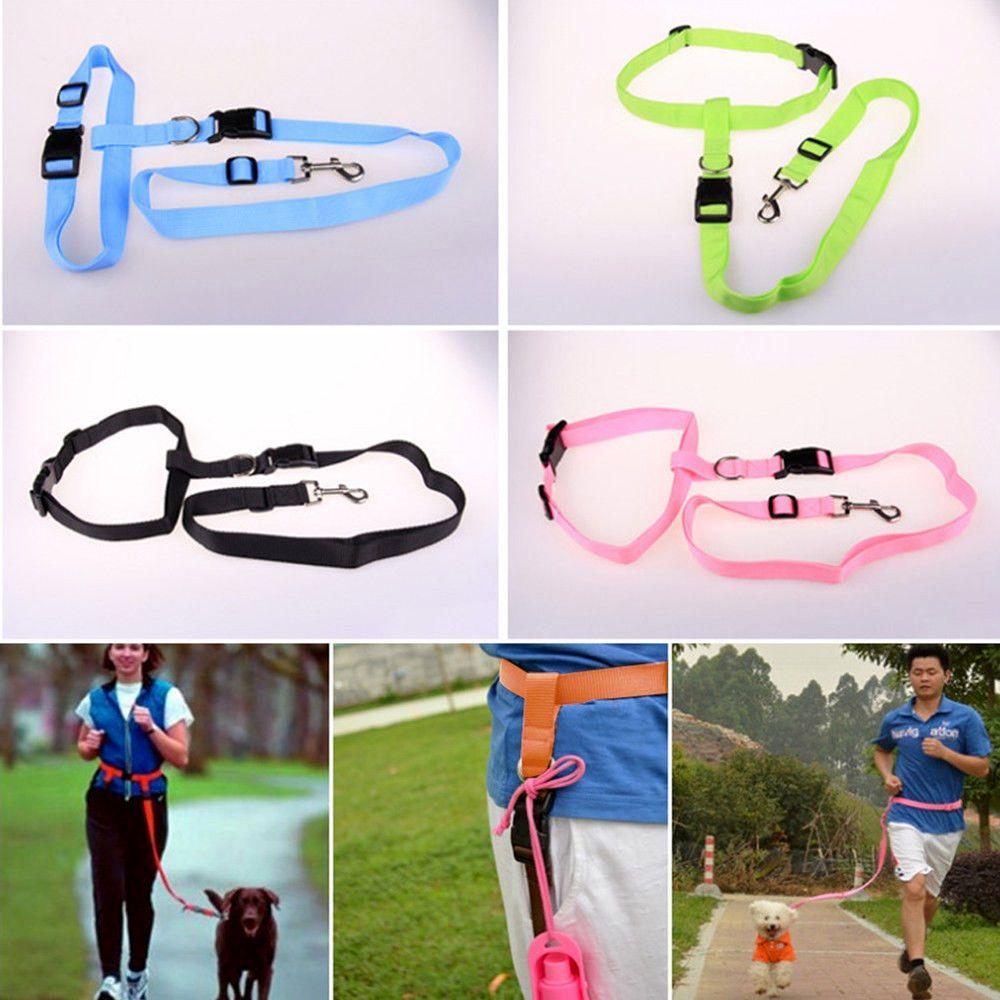 Buy Adjustable Walking Running Lead Leash Waist Belt Jogging Dog at