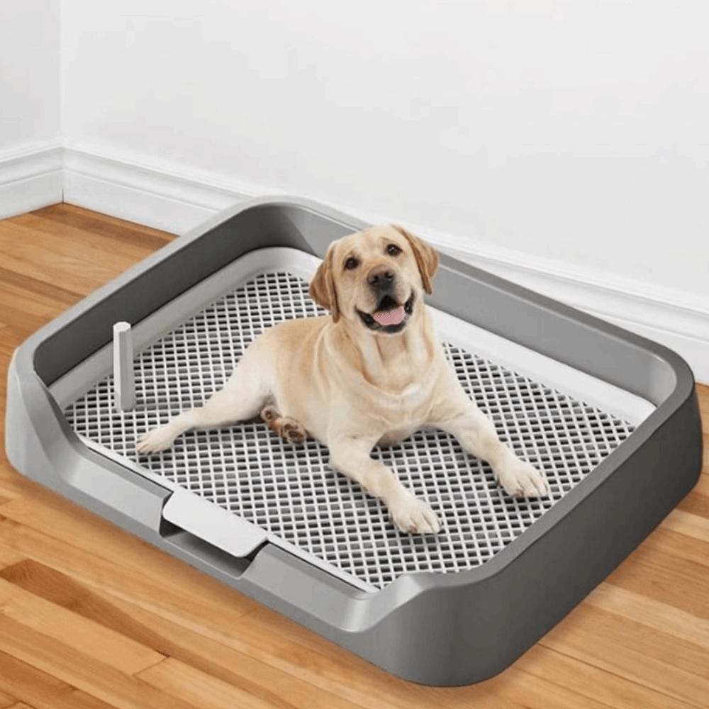 Removable Net Dog Training Toilet Mesh Dog Potty Trainer Dog Potty Toilet Training