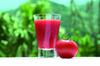Kagome Centennial Quality Tomato Juice 190g X 30 Bottles