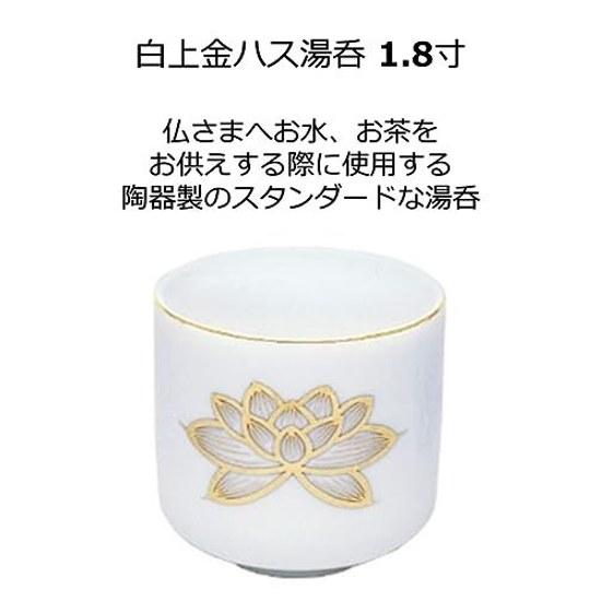 Shirokami Kinhatsu Yunomi 1.8 sun