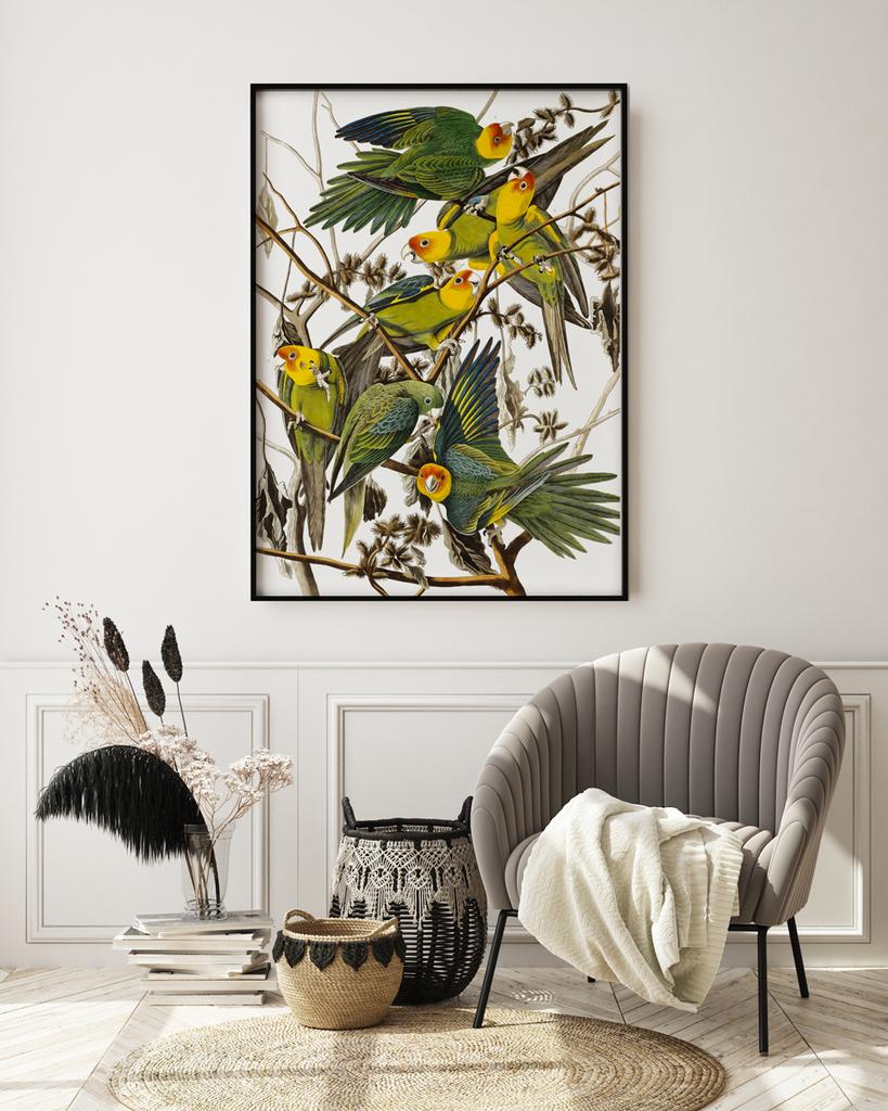 Parrot Poster Retro Vintage Posters