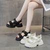 Sandals Fairy Fairy Wind 2025 New Summer Versatile Heightened Platform Muffin Velcro Sports Beach Sandals