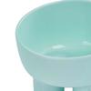 Raised Cat Bowls Anti Vomiting Food Dish Waterer and Feeder for Indoor Cats Puppy