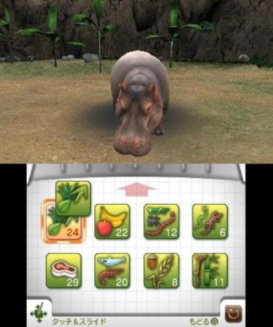 Animal Build a 3DS Resort Let's Zoo!! -