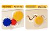 Montessori Color & Shape Recognition Building Blocks for Toddlers