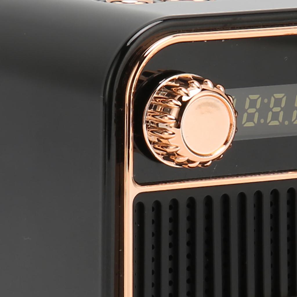Karaoke Machine HiFi Stereo Sound Portable Speaker with Microphone for Kids Gifts