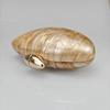 Acrylic Egg Shape Cutch Bag Women Designer Evening Party Cute Pearl Shell Purse Rose Red Metal Clasp Women Shoulder Messenger