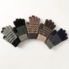 WTEMPO 1 Pair of New Fashionable Winter Men's Plush Warm Gloves Cold-proof Touch Screen Knitted Jacquard Full Finger Gloves