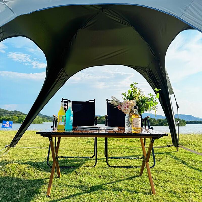 Feitu Le Automatic Quick-Setup Dome Camping Canopy