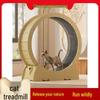 Home Use Cat Treadmill: Fitness Wheel Toy and Tree for Cats