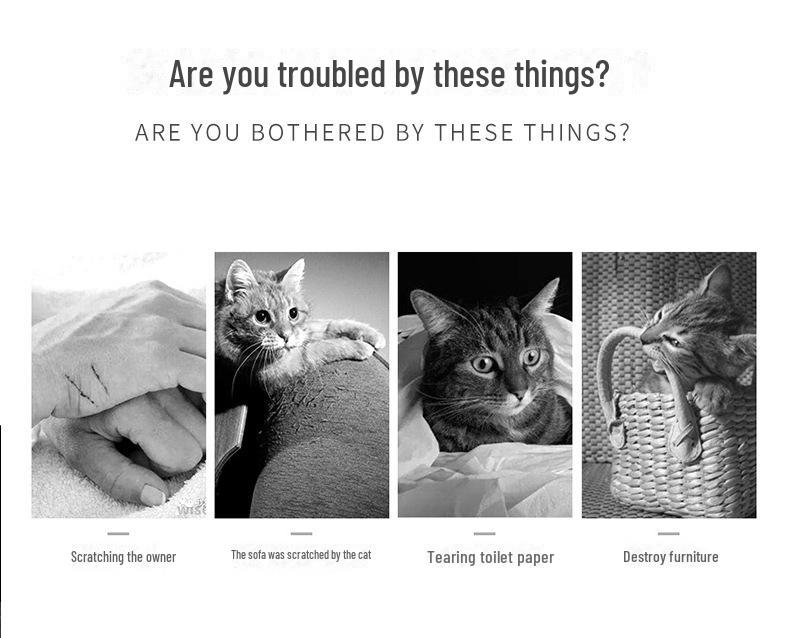 Sisal Cat Scratching Board and Climbing Ladder – Dandruff-Free, Sofa-Friendly, Durable Pet Toy for Cats and Dogs