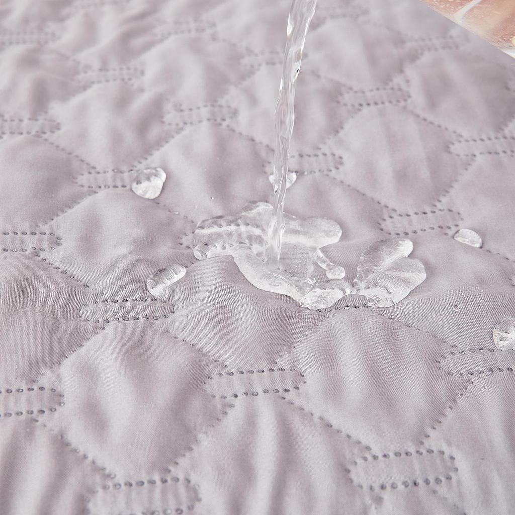 Cat & Dog Waterproof, Moistureproof, Scratch-Resistant Pet Urine Pad with Pillow