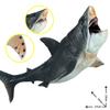 Large Prehistoric Megalodon Shark Toy - Children's Scientific Marine Animal Model