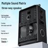 Newmine N539 15-inch Portable Bluetooth Trolley Speaker (CN Version)