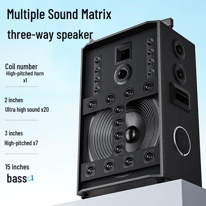 Newmine N539 15-inch Portable Bluetooth Trolley Speaker (CN Version)