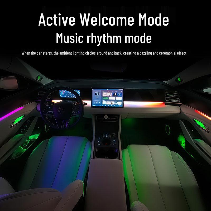 BYD Qin PLUS/L Dynamic Ambient Car Interior Flowing Lights