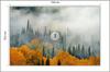 Photomural Fog Over Autumn Forest Washable Fleece 104x70.5