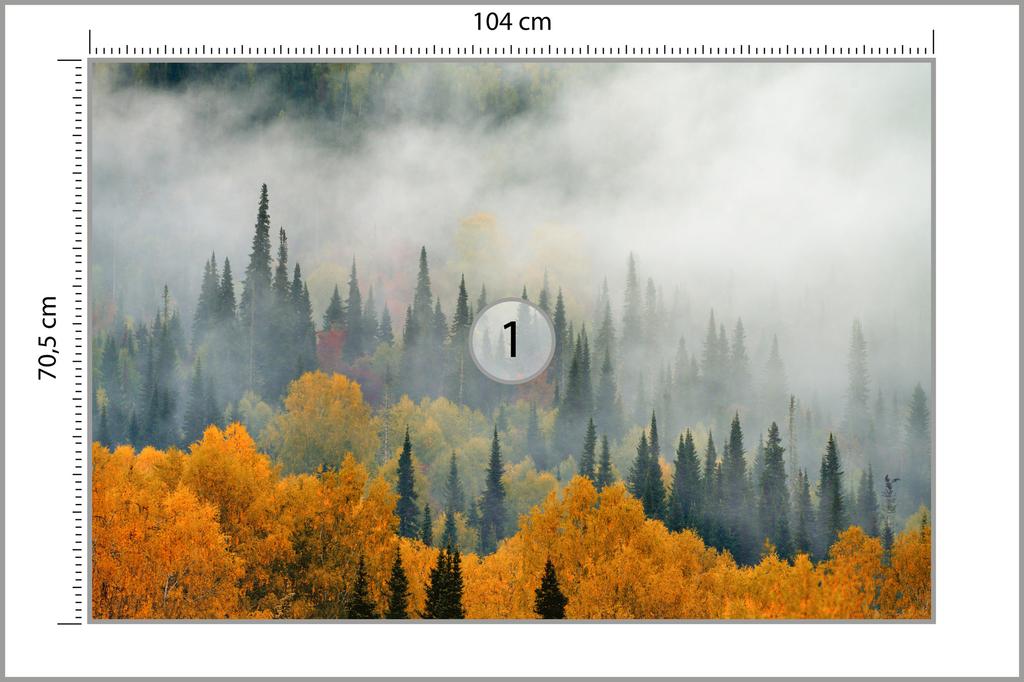 Photomural Fog Over Autumn Forest Washable Fleece 104x70.5