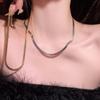 Titanium Steel Non-Fading Flat Snake Chain Necklace - Simple, Versatile, High-End Clavicle Jewelry for Women