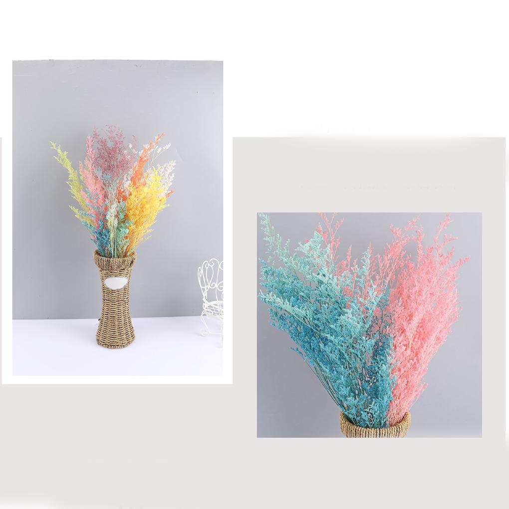 Portable Lightweight Artificial Plant Natural Flowers Cute Lovely Dry Grass Bouquet for Living Room Wedding Home