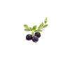 Luxury Blueberry Brooch for Women - Spring Style Green Pin for Coats and Mori Style Outfits