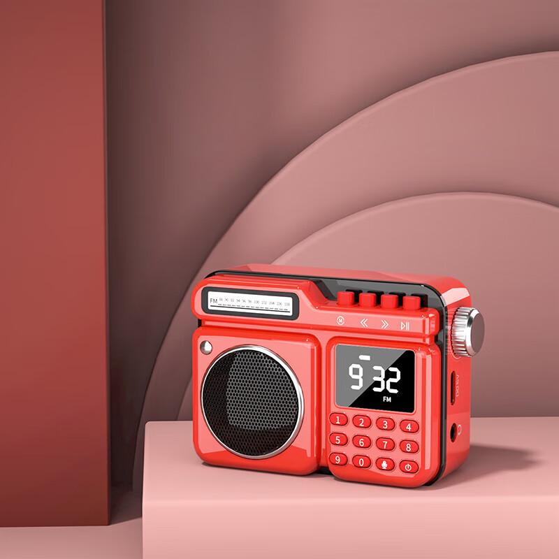 Newmine Retro Portable Bluetooth Speaker with FM Radio and Recorder