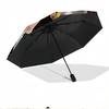 KPop Demon Hunters Print Automatic Open Close Umbrella, Portable Foldable Umbrella, for Outdoor Commute Camping Trip, Ideal Birthday Gift
