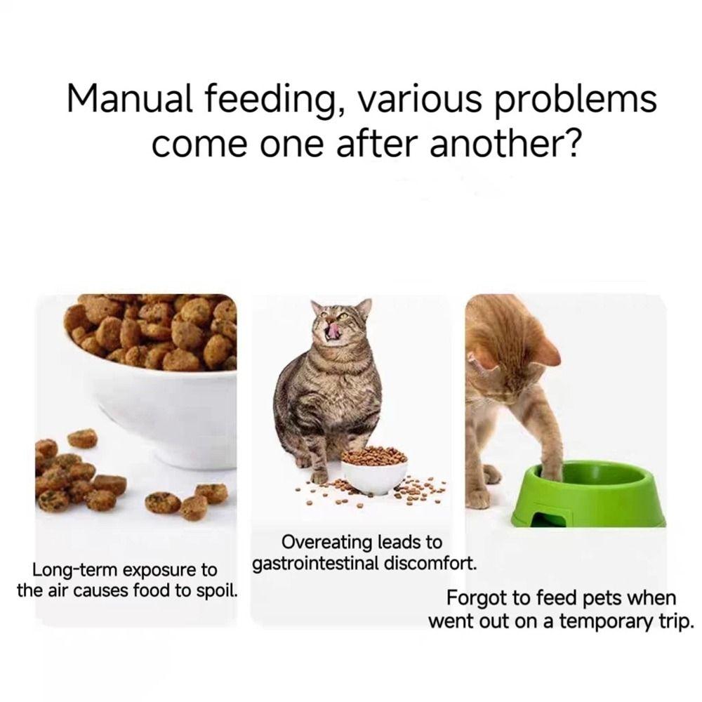 4L Capacity WIFI Smart Pet Feeder USB Charge Intelligent Pet Food Dispenser  Cats and Dogs