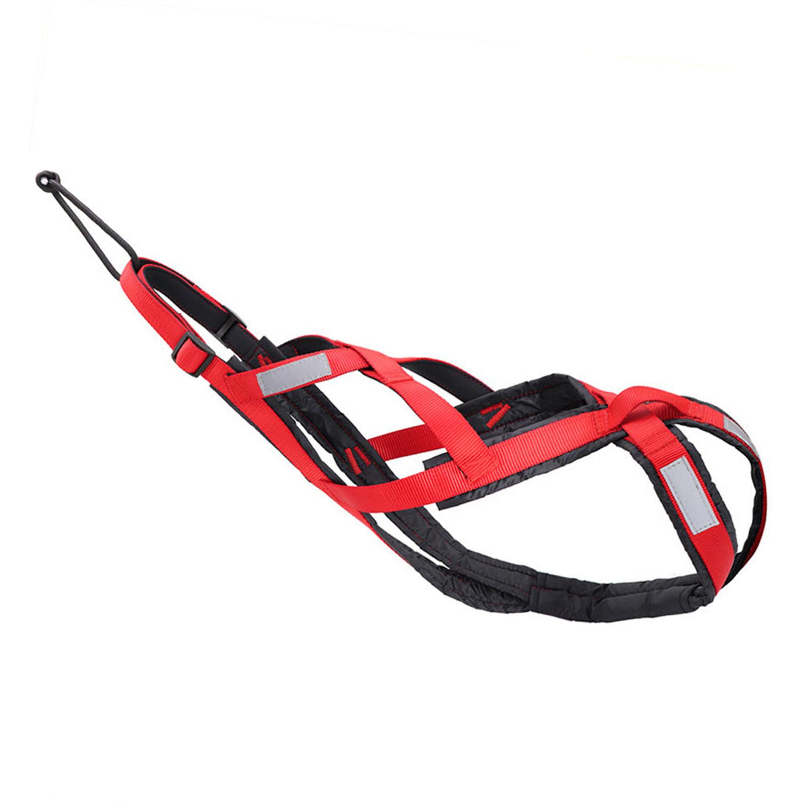 

Регулируемая шлейка для собак для крупных пород, светоотражающая нагрудная шлейка для питомцев для бега, езды на велосипеде и катания на лыжах, для занятий спортом на открытом воздухе L красный