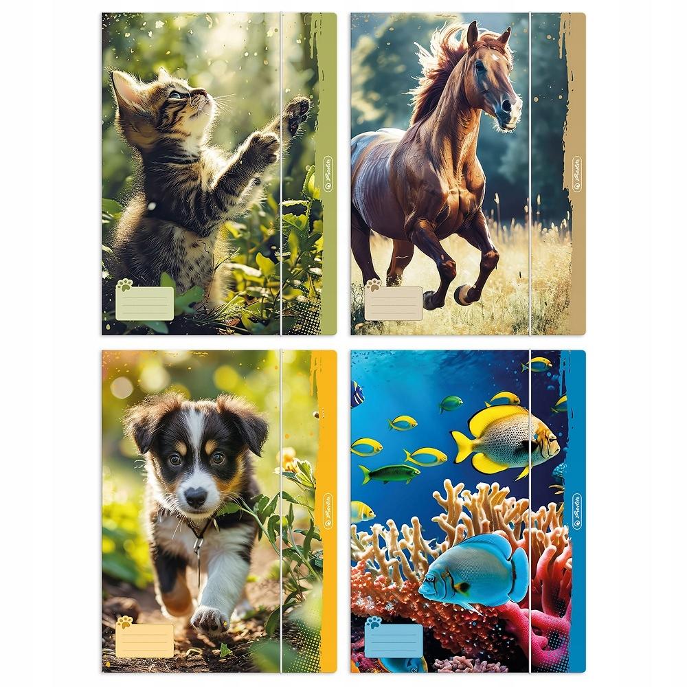 TECZKA RYS.A4 Z GUM.ANIMALS  300023013 A'10