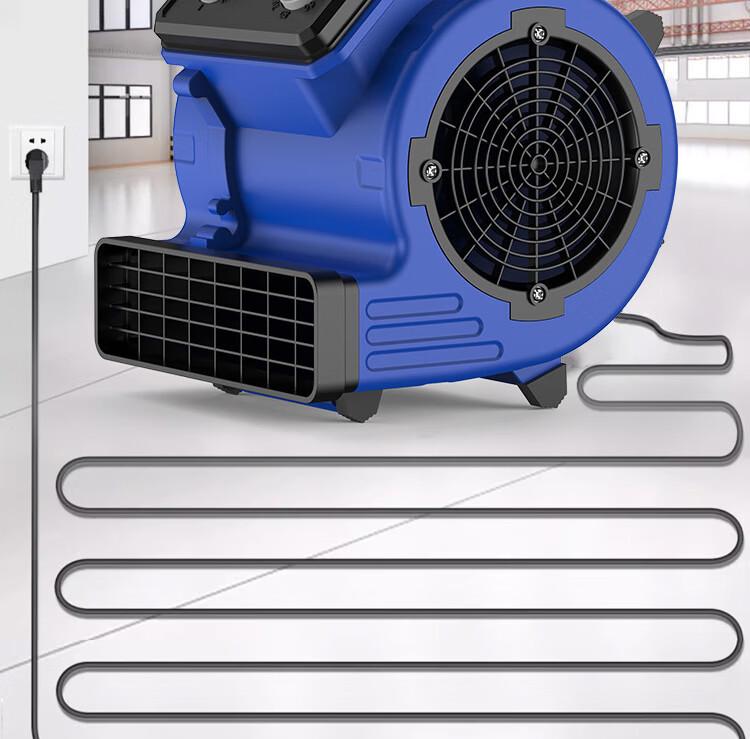 Dual Wind Floor Dryer with Timer - Hot & Cold Carpet and Toilet Blower
